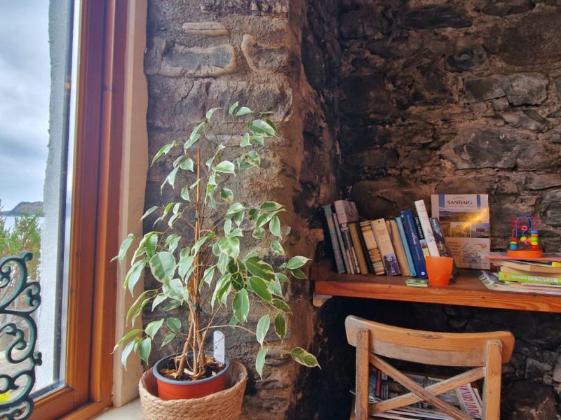 Internal shot of Dave's Vegan Popup Cafe